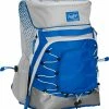 Rawlings R800 Softball Backpack - Gray Royal -Rawlings Shop R800 R Royal AR